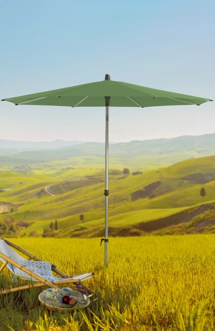 Grüner Sonnenschirm im Weizenfeld.